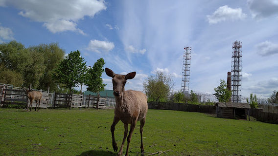 Podilʹsʹkyy Zoopark