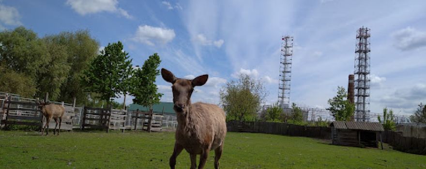 Podilʹsʹkyy Zoopark