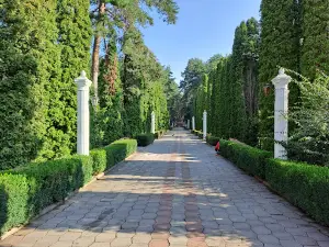 Chervona Kalyna Sanatorium