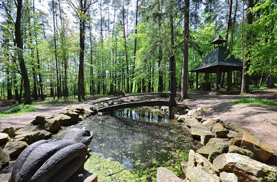 Pivečkův lesopark