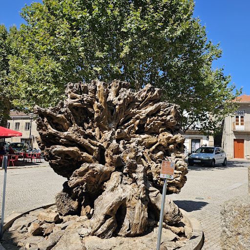 São Martinho De Anta