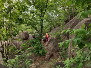 Mudgudi Pahad (Hills)