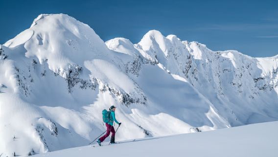 Revelstoke Business and Visitor Information Centre