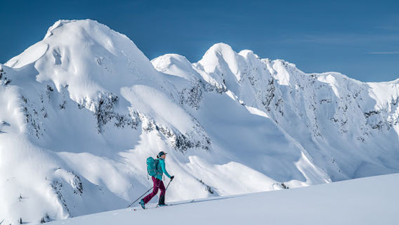 Revelstoke Business and Visitor Information Centre