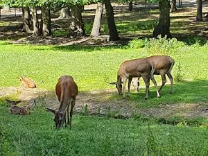 Klötze Zoo