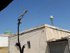 Mizgefta Seydan