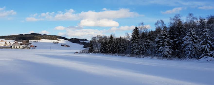 La Lisière