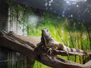 Parc Animalier Guiguitte en Folie
