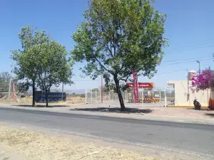Lienzo Charro Tepehuaje