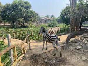 Vườn Thú Cưng (HAPPY ZOO)