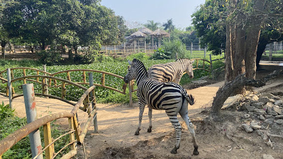 Vườn Thú Cưng (HAPPY ZOO)