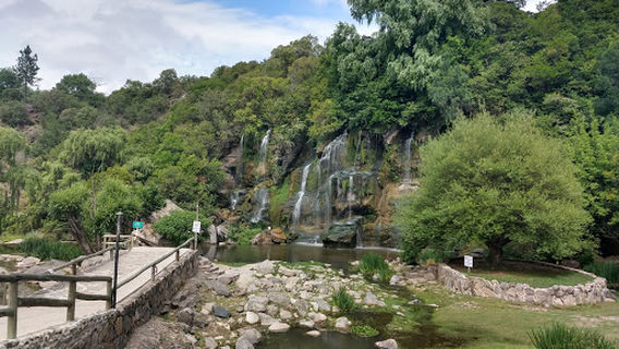 Dormis, Camping, Nelly