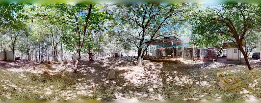 Kangaloola Wildlife Shelter
