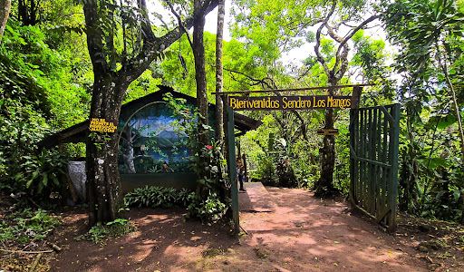 Sendero Los Mangos