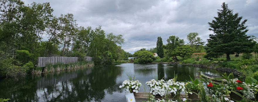 Griffin's Greenhouses