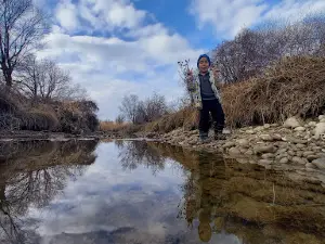 Talas river