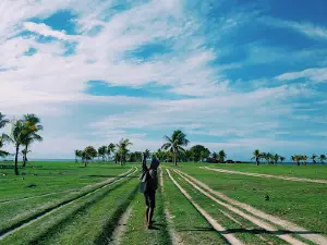 Pantai Tongga