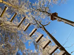 Adventure Park Rheinfall