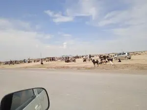 Bahramzai Masjid Kili Karbala Syedan