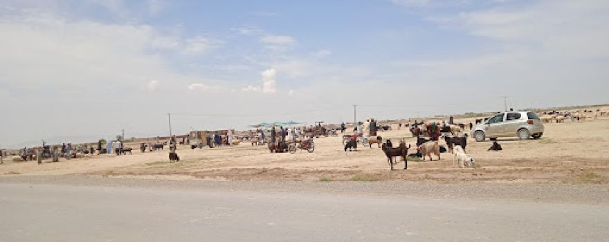 Bahramzai Masjid Kili Karbala Syedan