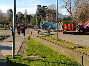 Parque Vergara