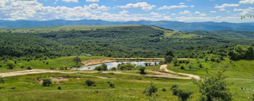 Lac Salicea