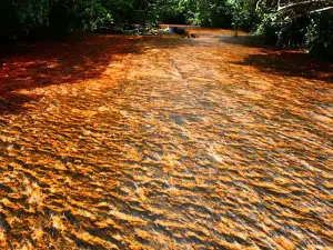 Jasper Creek