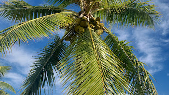 Key Largo Kampground & Marina