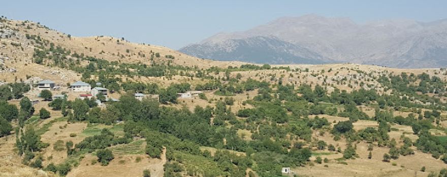 Bahçebaşı / zımag