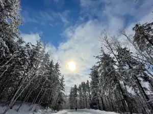 Windy Lake Provincial Park