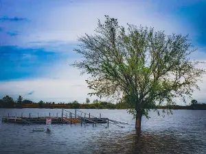 El dorado Lake