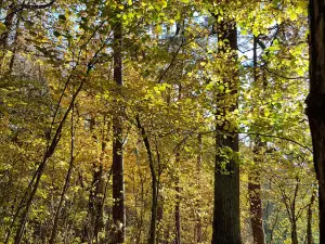 Karmazinai Nature Trail
