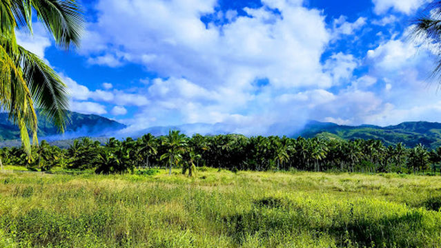 Makaleha Bay Public Access Path