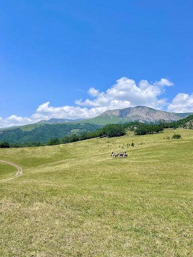 Dilijan Horseriding