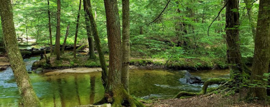 Minister Creek Campground
