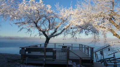 Pickerel Lake, SD