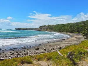 La Sagesse Beach