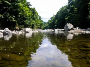 Kızlar Stream