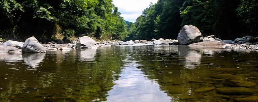 Kızlar Stream
