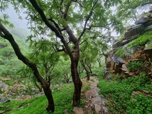 Lohargal Dham