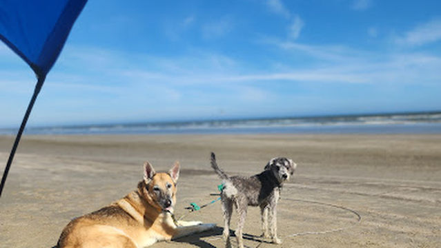 East Beach Free Parking