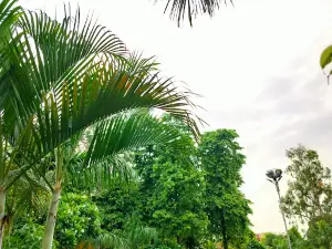 Mahaveer Park