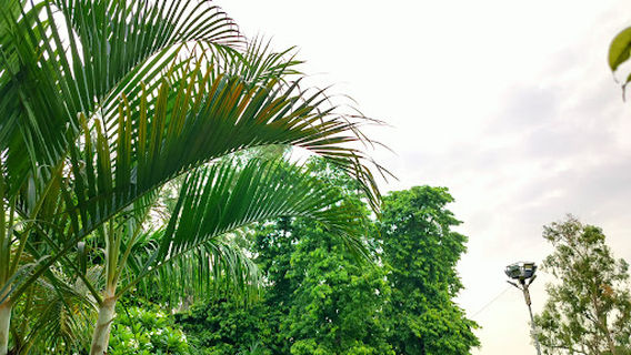 Mahaveer Park