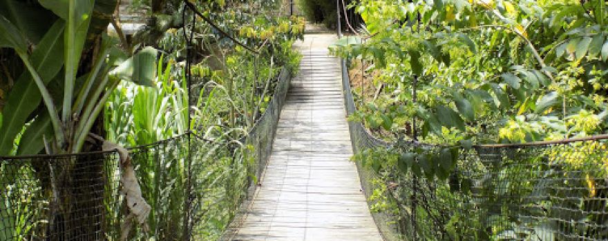 Ecoparque Minero del Carbón