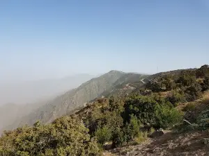 Raydah
