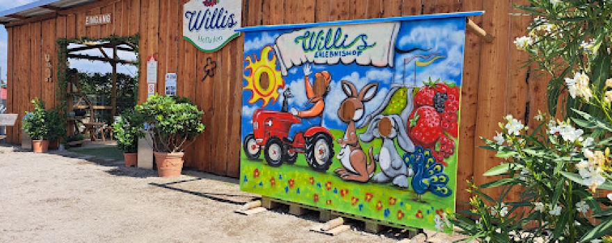 Willis Erlebnishof, Hofladen, Tierparadies, Spieloase
