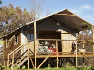 Camping Les Prés Verts ***