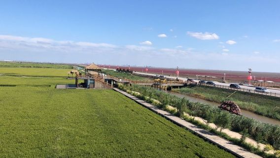 Red Beach Viewing Point