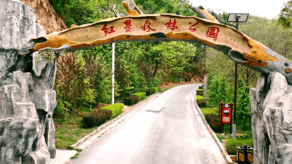 Zhangwuxian Hongxing Forest Park Sceneic Area