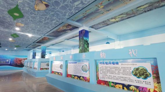 Xuwen County Coral Museum Tourist Area